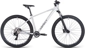 <?= Aspect Nickel 29 L 2025 (серебристый) ?>