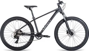 <?= Aspect Nickel 26 XS 2025 (черный) ?>