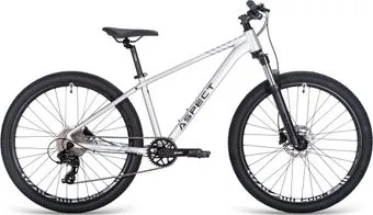 <?= Aspect Nickel 26 XS 2025 (серебристый) ?>
