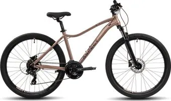 <?= Aspect Oasis HD 26 S 2024 (коричневый) ?>