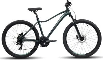<?= Aspect Oasis HD 26 M 2024 (темно-зеленый) ?>