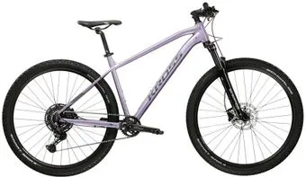 <?= Kross Level 4.0 29 M/17" 2024 (фиолетовый) ?>