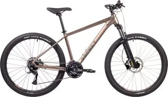 <?= Aspect Stimul 27.5 L 2024 ?>