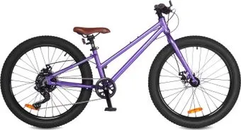 <?= Shulz Chloe 24 Race Plus 2024 (фиолетовый) ?>