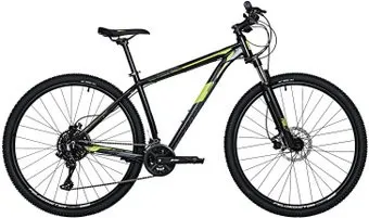 <?= Stinger Graphite Pro 29 р.22 2023 ?>
