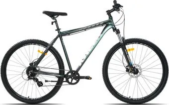 <?= Racer Expert 29 2024 (зелёный хамелеон) ?>