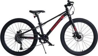 Maxiscoo 7Bike 24 M500 2024 (черный)
