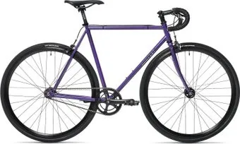<?= Harvest Crop Purple 54cm/M 2024 ?>