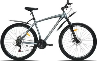 <?= Racer Boxfer 29 р.20 2024 (серый глянцевый) ?>