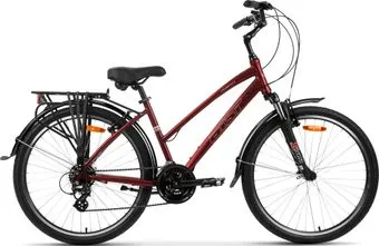 AIST Cruiser 2.0 W р.16.5 2024 (красный)