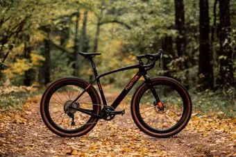 Borant Phantom GRX800 M 2022 (коричневый)