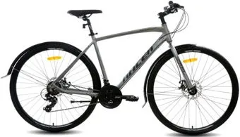 <?= Racer Alpina Man 28 2023 (серый) ?>