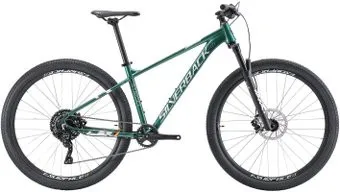 <?= Silverback Stride Comp 29 L 2023 ?>