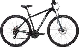<?= Stinger Element STD 29 р.22 2022 (черный) ?>