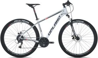 <?= Upland 200-29-XD 2022 (серый) ?>
