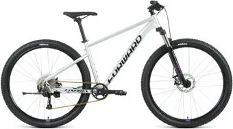 Forward Sporting 29 XX D р.21 2022 (серебристый/фиолетовый)