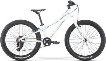 Merida Matts J. 24+ Eco 2022 (белый/золотистый)