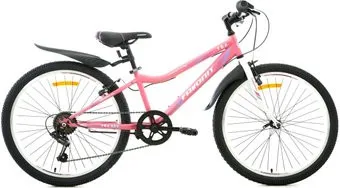 Favorit FOX 24 V 2020 (розовый)