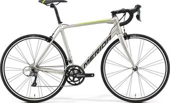 Merida Scultura RIM 100 L 2022 (шелковый серебристый)