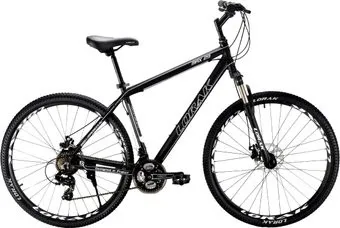 Lorak MAX 29 р.19 2021