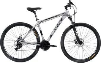 <?= Renome Honor 29 L 2021 ?>
