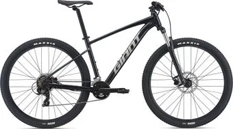 <?= Giant Talon 3 29 L 2021 (глянцевый черный) ?>