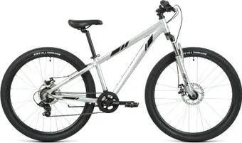 <?= Forward Toronto 26 2.2 disc 2021 (серебристый) ?>