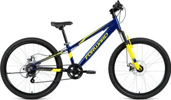 <?= Forward Rise 24 2.0 disc 2021 (синий/желтый) ?>