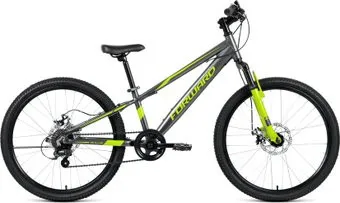 <?= Forward Rise 24 2.0 disc 2021 (серый/зеленый) ?>