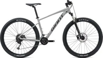 Giant Talon 2 (GE) 29 M 2021 (серый)