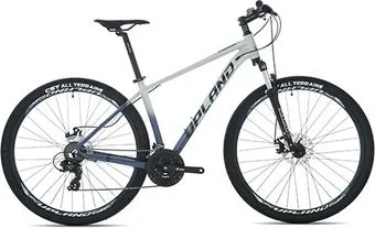 <?= Upland X90 29 р.15.5 2020 (серый) ?>