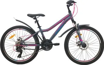 <?= AIST Rosy Junior 2.1 2020 (серый) ?>
