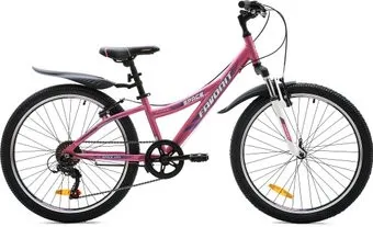 Favorit Space 24 V 2020 (розовый)