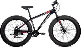 <?= Foxx Jumbo 26 2020 ?>
