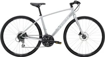Trek FX 2 Disc Women's M 2020 (серебристый)