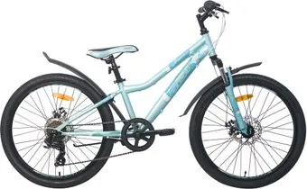 <?= AIST Rosy Junior 1.1 2020 (бирюзовый) ?>