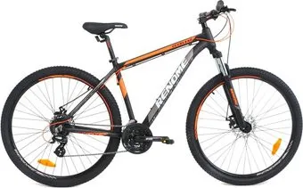 <?= Renome Overland 29 XL 2020 ?>