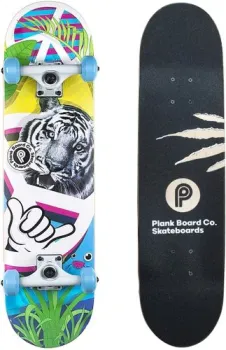 <?= Plank Ptigy P21-SKATE-PTIGY ?>