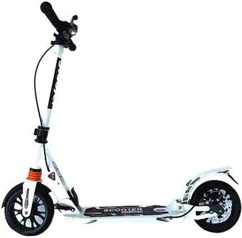 <?= Scooter Urban Disk 116D (белый) ?>