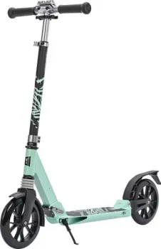 <?= Tech Team City Scooter 2024 (голубой) ?>