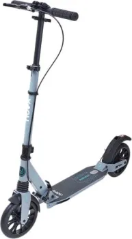 <?= Ridex Micra (серый) ?>