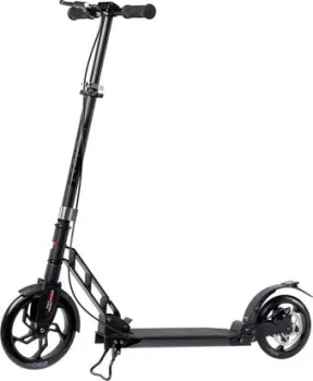 <?= Roces 230 Lux (черный) ?>