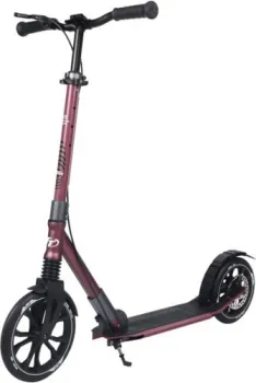 <?= Tech Team Sport 250R 2021 (красный) ?>