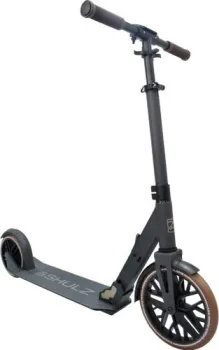<?= Shulz 250 Speed (черный) ?>