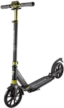 <?= Tech Team City Scooter 2020 (черный) ?>
