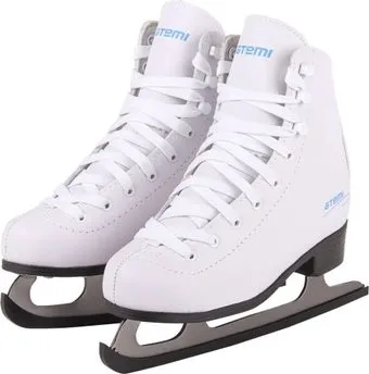 <?= Atemi Basic (р. 32) ?>
