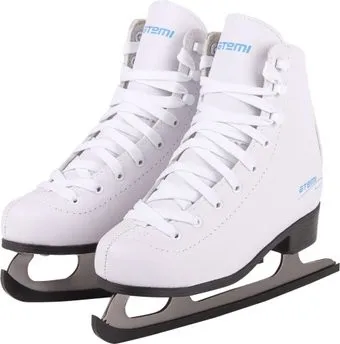 <?= Atemi Basic (р. 30) ?>