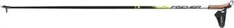 <?= Fischer RC3 Carbon Z46319 (165 см) ?>