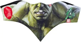Airhole Marvel-S1 FW18 (M/L, hulk)