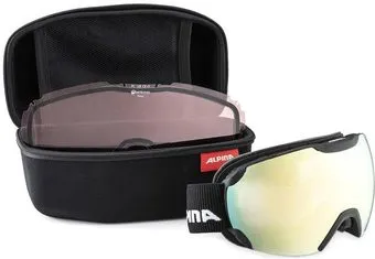<?= Alpina Sports Multicase Snowgoggle 2022-23 A900909 (черный) ?>